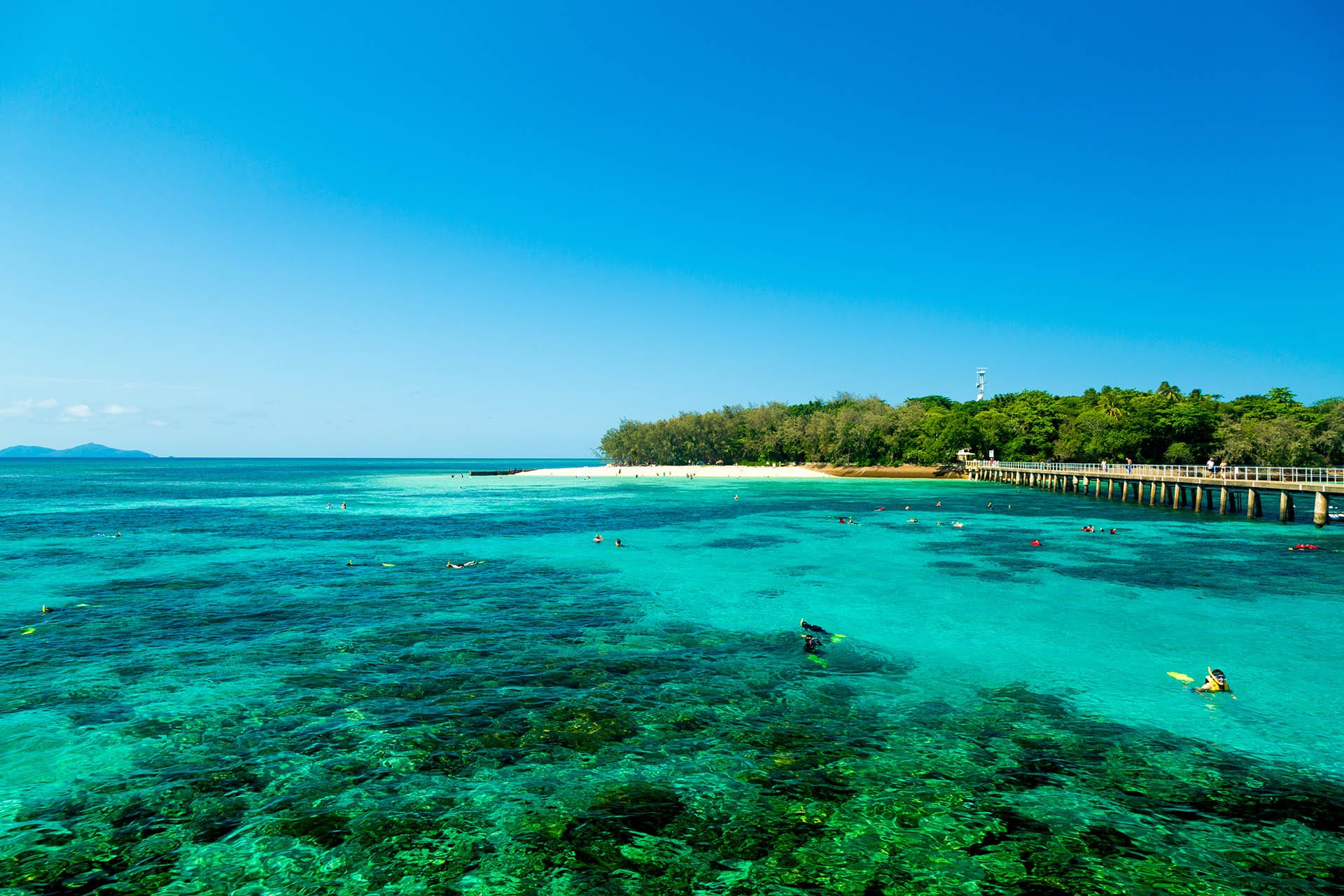 Cairns Tropical View